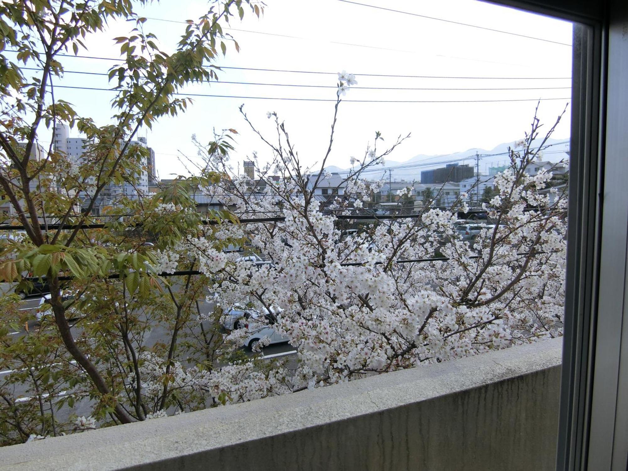 Simple Stay Beppu Quarto foto